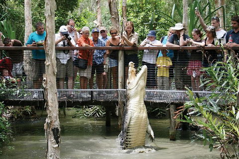 Hartley's Crocodile Adventure Half-Day Tour - Accommodation Fremantle 1