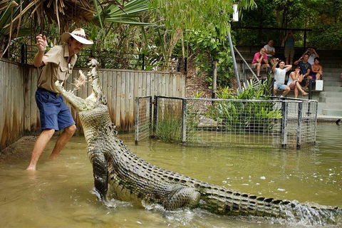 Hartley's Crocodile Adventure Half-Day Tour - Accommodation Fremantle 2