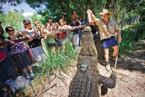 Hartley's Crocodile Adventure Half-Day Tour - Accommodation Fremantle 4