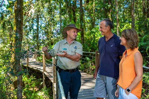Kuranda Scenic Railway Day Trip From Cairns - Accommodation Fremantle 1
