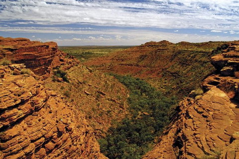 The Amazing Kings Canyon: 4-Hours Walking Tour And Hike - Accommodation Fremantle 3
