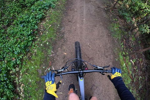 Explore Downhill Mountain In 3-Hour Bike Tour From Hobart - Accommodation Fremantle 2