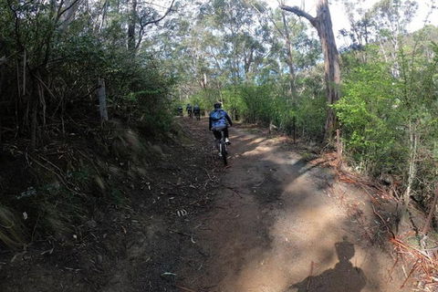Explore Downhill Mountain In 3-Hour Bike Tour From Hobart - Accommodation Fremantle 3