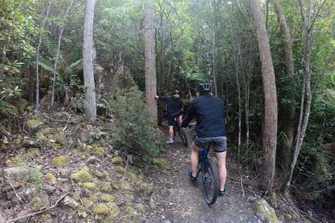 Explore Downhill Mountain In 3-Hour Bike Tour From Hobart - Accommodation Fremantle 4