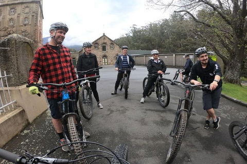 Explore Downhill Mountain In 3-Hour Bike Tour From Hobart - Accommodation Fremantle 5