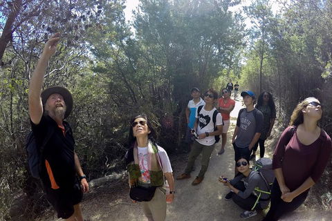 Active Day Tour One-Way From Launceston To Hobart Via Wineglass Bay - Accommodation Fremantle 0
