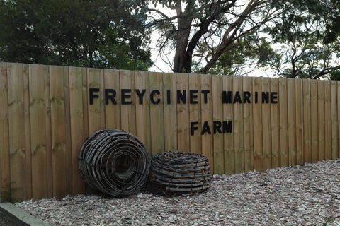 Active Day Tour One-Way From Launceston To Hobart Via Wineglass Bay - Accommodation Fremantle 3