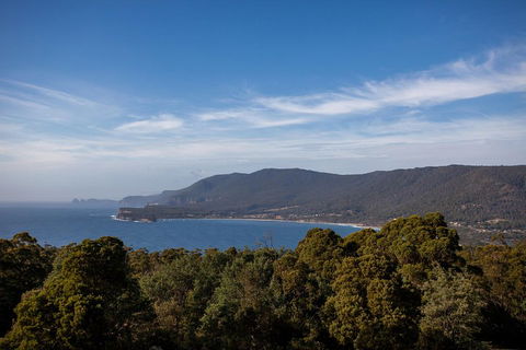 Port Arthur And Tassie Devils Active Day Tour From Hobart - Accommodation Fremantle 5