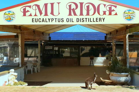 2-Day Kangaroo Island Safari From Adelaide - Accommodation Fremantle 4