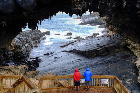 2-Day Kangaroo Island Safari From Adelaide - Accommodation Fremantle 5