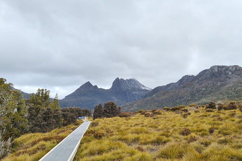 Cradle Mountain National Park Day Tour From Launceston - Accommodation Fremantle 2