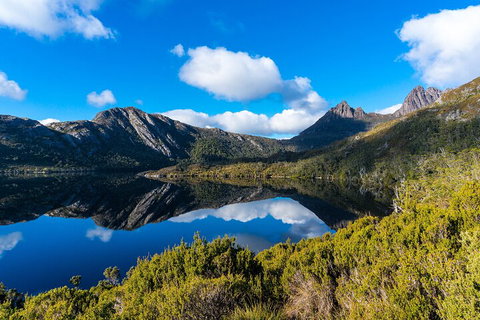 Cradle Mountain National Park Day Tour From Launceston - Accommodation Fremantle 3