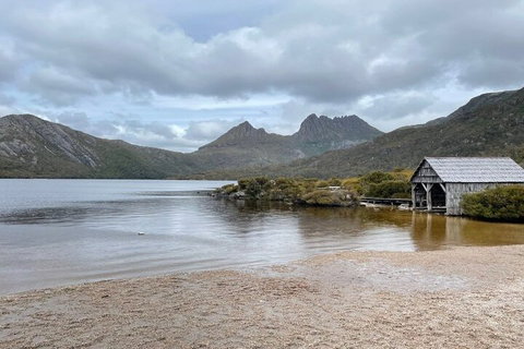 Cradle Mountain National Park Day Tour From Launceston - Accommodation Fremantle 4