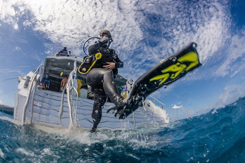 Silverswift Outer Great Barrier Reef Dive And Snorkel Cruise From Cairns - Accommodation Fremantle 1