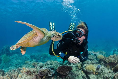 Silverswift Outer Great Barrier Reef Dive And Snorkel Cruise From Cairns - Accommodation Fremantle 2