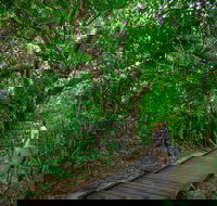 Green Island Eco Adventure from Cairns - Accommodation Fremantle