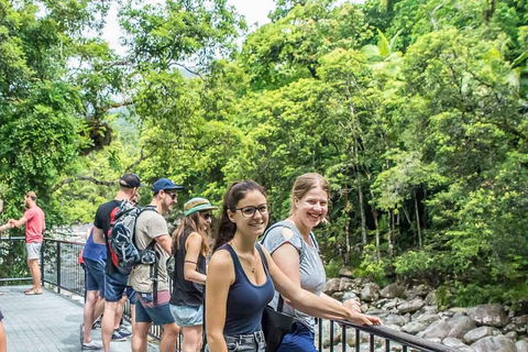 Cape Tribulation, Mossman Gorge, And Daintree Rainforest Day Trip From Cairns Or Port Douglas - Accommodation Fremantle 0