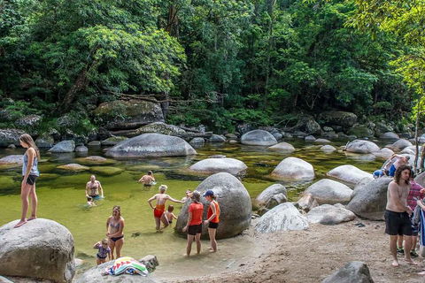 Cape Tribulation, Mossman Gorge, And Daintree Rainforest Day Trip From Cairns Or Port Douglas - Accommodation Fremantle 1