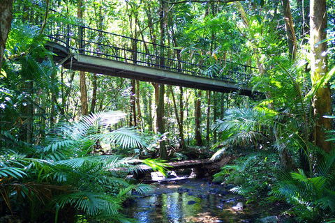 Cape Tribulation, Mossman Gorge, And Daintree Rainforest Day Trip From Cairns Or Port Douglas - Accommodation Fremantle 3
