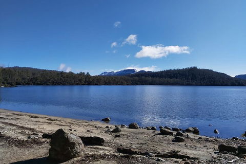 6-Day Hearty Tasmania Tour (Tasmania In A Circle) - Accommodation Fremantle 1
