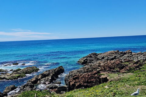 Private Custom Byron Bay Day Out - Accommodation Fremantle 4