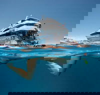 3 Day Great Barrier Reef Daintree Rainforest and Outback Chillagoe Tour - Accommodation Fremantle