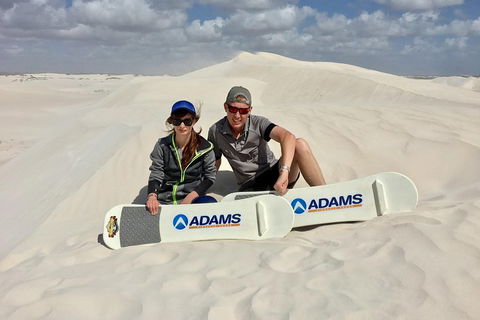 Full Day Pinnacle Desert Explorer From Perth Including Hillarys And Lancelin Sandboarding - Accommodation Fremantle 4