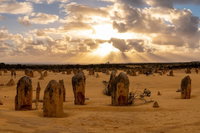 Pinnacle Desert Sunset and Night-time Stargazing Tour from Perth