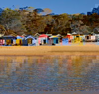 Mornington Peninsula Small Group day tour - Accommodation Fremantle