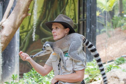 Currumbin Wildlife Sanctuary General Entry Ticket - Accommodation Fremantle 1