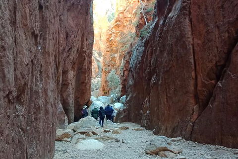 West MacDonnell Private Tour With Transfer - Accommodation Fremantle 0