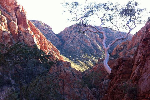 West MacDonnell Private Tour With Transfer - Accommodation Fremantle 3