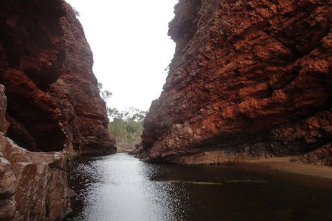 West MacDonnell Ranges Half - Day Tour - Accommodation Fremantle 4