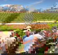 Yarra Valley Wine and Winery Tour from Melbourne - Accommodation Fremantle