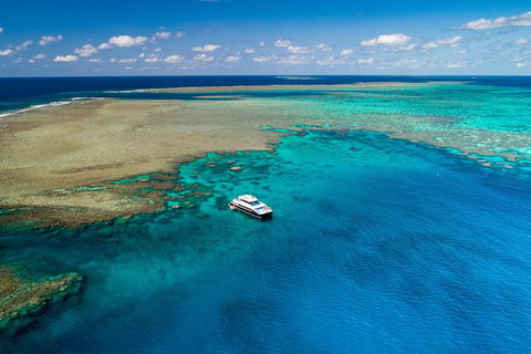 Calypso Outer Great Barrier Reef Cruise From Port Douglas - Accommodation Fremantle 1