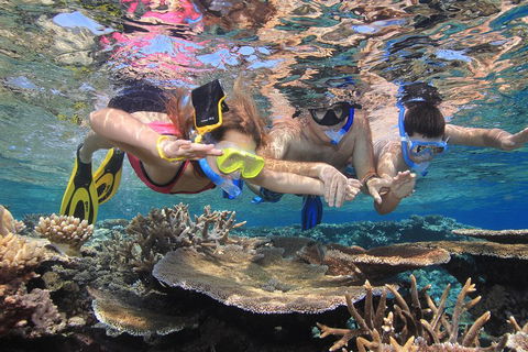 Calypso Outer Great Barrier Reef Cruise From Port Douglas - Accommodation Fremantle 3