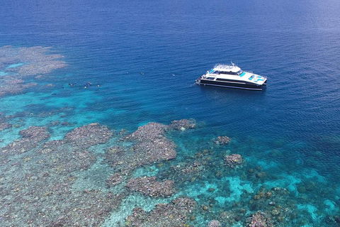 Calypso Outer Great Barrier Reef Cruise From Port Douglas - Accommodation Fremantle 4
