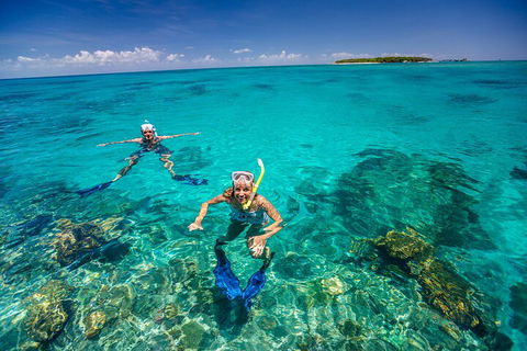 Fly To Green Island - Cruise Return - Accommodation Fremantle 4