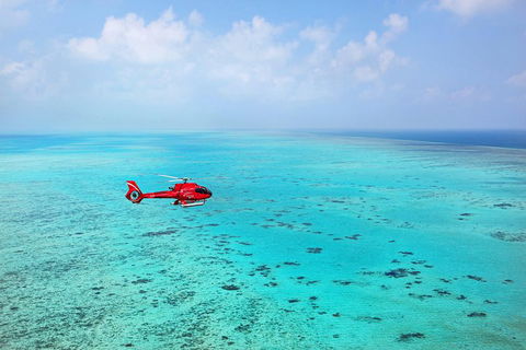 Port Douglas - Cruise And 10 Minute Scenic Flight - Accommodation Fremantle 1