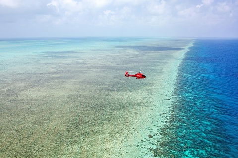 Ultimate Great Barrier Reef And Rainforest 45-minute Helicopter Tour - Accommodation Fremantle 5