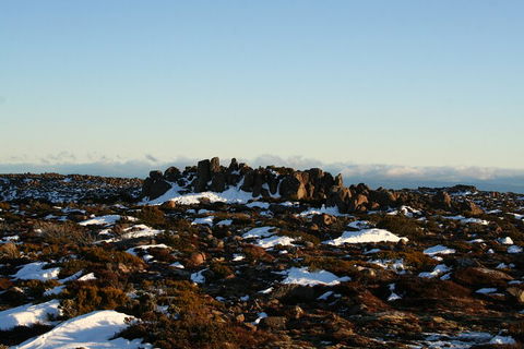Mt. Wellington, Bonorong And Richmond Day Tour From Hobart - Accommodation Fremantle 5