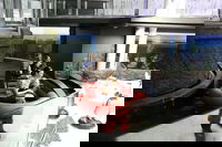 Sydney Attractions Pass SEA LIFE Aquarium Sydney Tower Eye WILD LIFE Zoo and Madame Tussauds