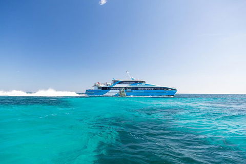 Rottnest Island All-Inclusive Grand Island Tour From Fremantle - Accommodation Fremantle 0