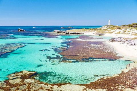 Rottnest Island All-Inclusive Grand Island Tour From Fremantle - Accommodation Fremantle 1