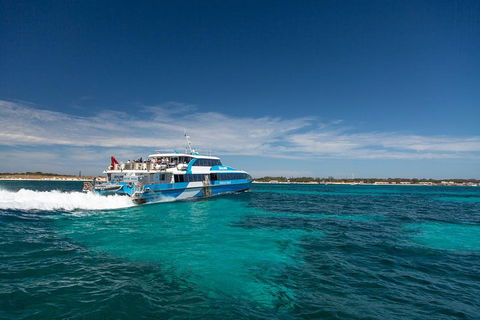 Rottnest Island All-Inclusive Grand Island Tour From Fremantle - Accommodation Fremantle 3
