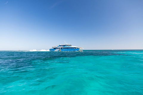 Rottnest Island Fortress Adventure Segway Package From Fremantle - Accommodation Fremantle 0