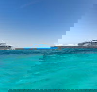 Rottnest Island Bayseeker Day Trip from Perth - Accommodation Fremantle
