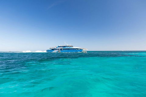 Rottnest Island Bayseeker Day Trip From Perth - Accommodation Fremantle 0