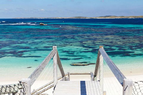 Rottnest Island Bayseeker Day Trip From Perth - Accommodation Fremantle 3