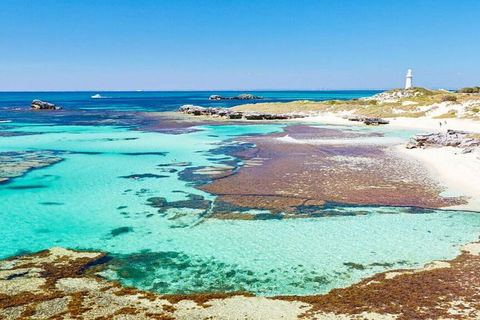 Rottnest Island Bayseeker Day Trip From Perth - Accommodation Fremantle 4